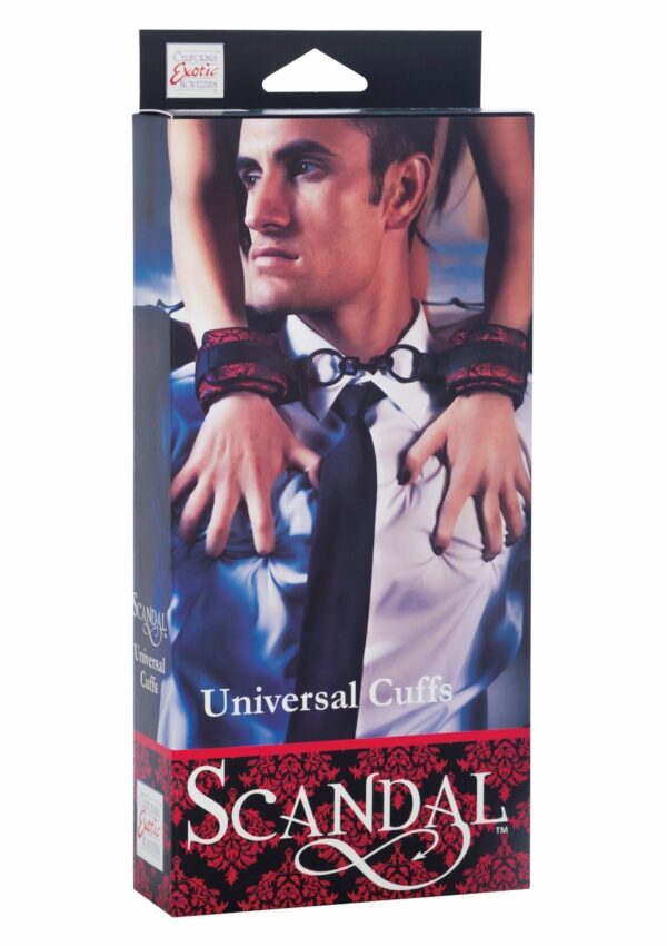 Polsini Universali Scandal